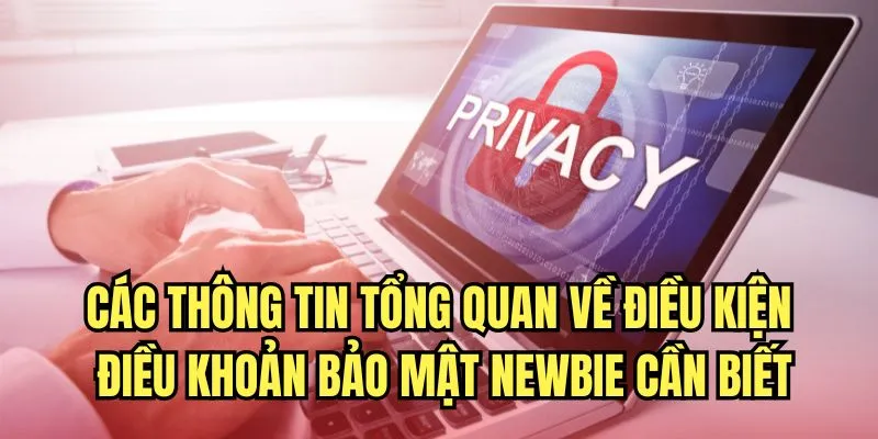 Các thông tin tổng quan về điều kiện điều khoản bảo mật newbie cần biết