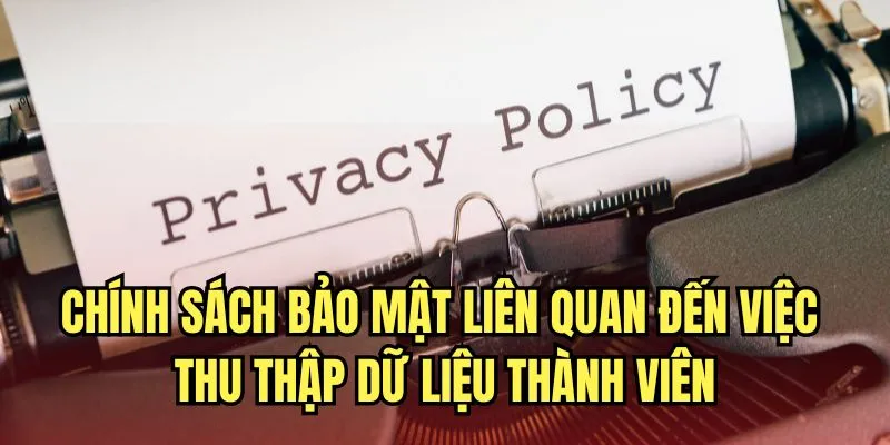 Chính sách bảo mật liên quan đến việc thu thập dữ liệu thành viên