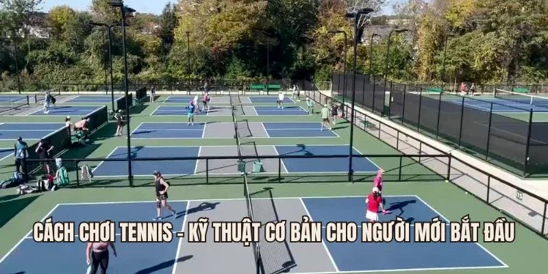 Một số thông tin bạn nên lưu ý khi tham gia quần vợt