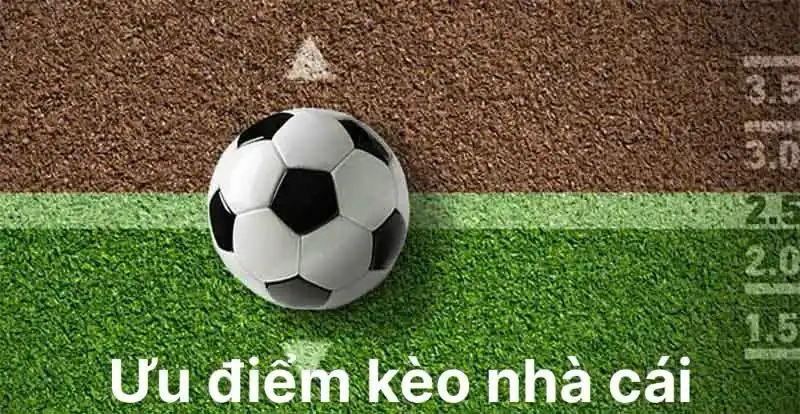 Hàng loạt ưu điểm tạo nên vị thế vững chắc cho hình thức cá cược đặc sắc này