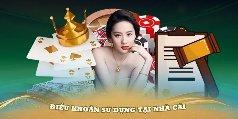 Quy định điều khoản sử dụng đối với các hành vi hội viên