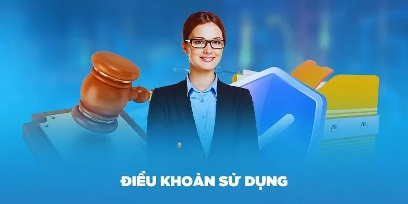 Tóm lược thông tin về điều khoản sử dụng