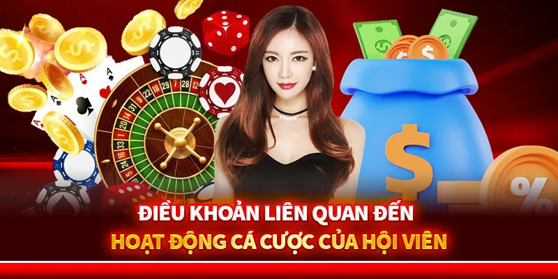 Điều khoản liên quan đến hoạt động cá cược của hội viên