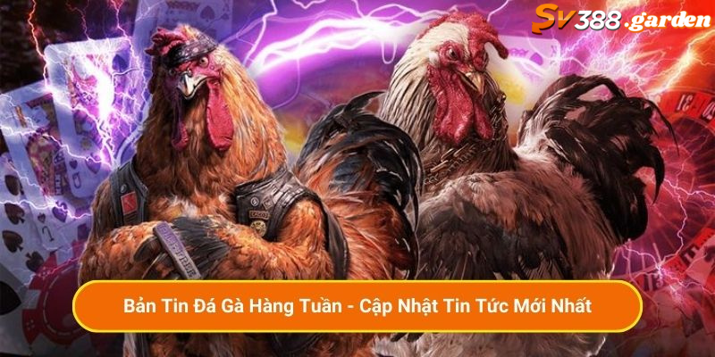 Tin Tức Đá Gà 2025: Cập Nhật Xu Hướng, Sân Đấu Mới & Kèo Nóng Mỗi Ngày